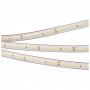 Светодиодная лента герметичная RTW-PS-A160-10mm 24V Day4000 (12 W/m, IP67, 2835, 5m) (Arlight, 12 Вт/м, IP67), 024543(2)